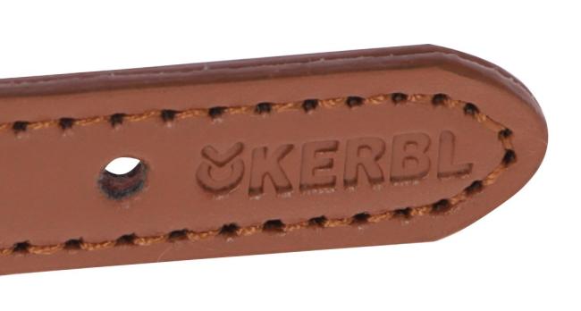 Hundehalsband Phoenix von Kerbl - mit Applikationen aus Kunstleder - stabile und verchromte Beschläge